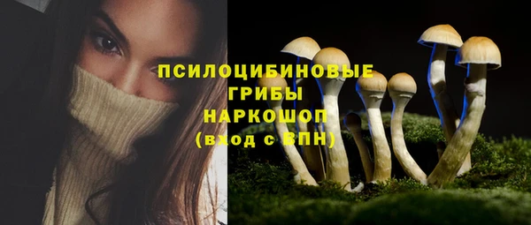 экстази Алексеевка