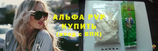apvp Алзамай