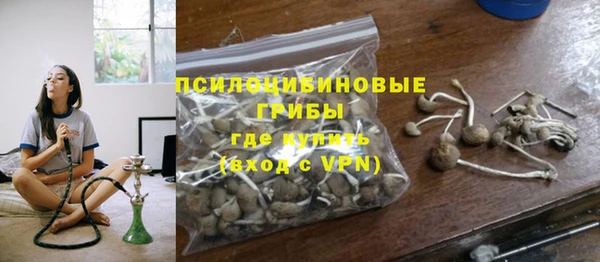 apvp Алзамай