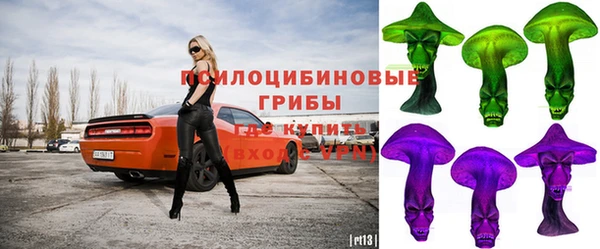 apvp Алзамай