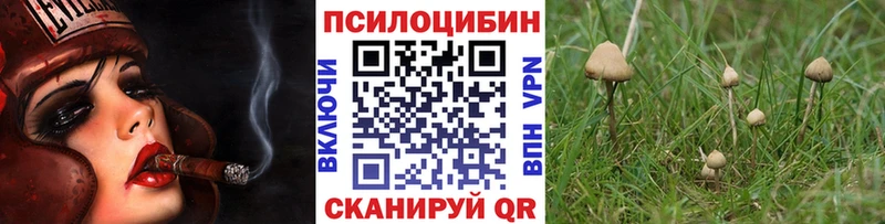 МЕГА рабочий сайт  Трёхгорный  Галлюциногенные грибы прущие грибы  наркотики 